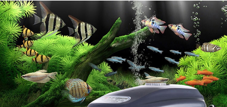 森森 YT-304静音氧气泵4孔8.5W 水族增氧泵