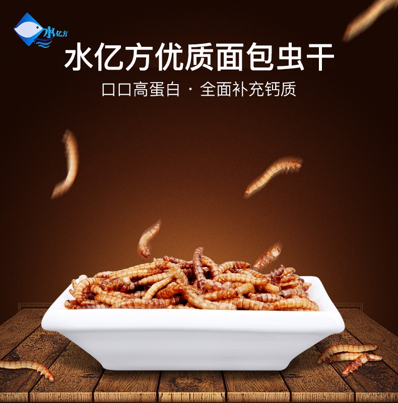 优质面包虫干黄粉虫干龙猫仓鼠粮食龙鱼饲料加量装2800ml