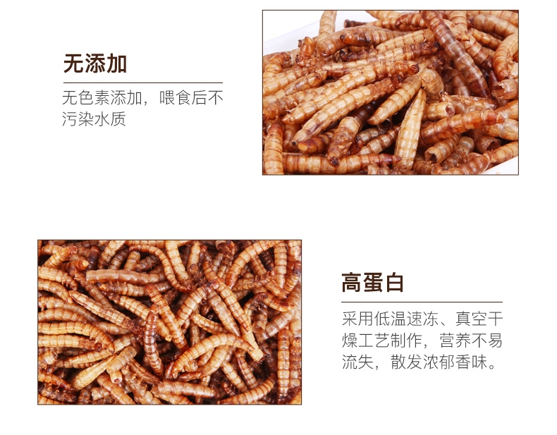 优质面包虫干黄粉虫干龙猫仓鼠粮食龙鱼饲料加量装2800ml