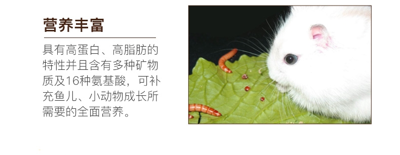 优质面包虫干黄粉虫干龙猫仓鼠粮食龙鱼饲料加量装2800ml