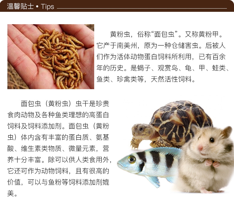优质面包虫干黄粉虫干龙猫仓鼠粮食龙鱼饲料加量装2800ml
