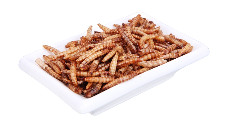 优质面包虫干黄粉虫干龙猫仓鼠粮食龙鱼饲料加量装2800ml