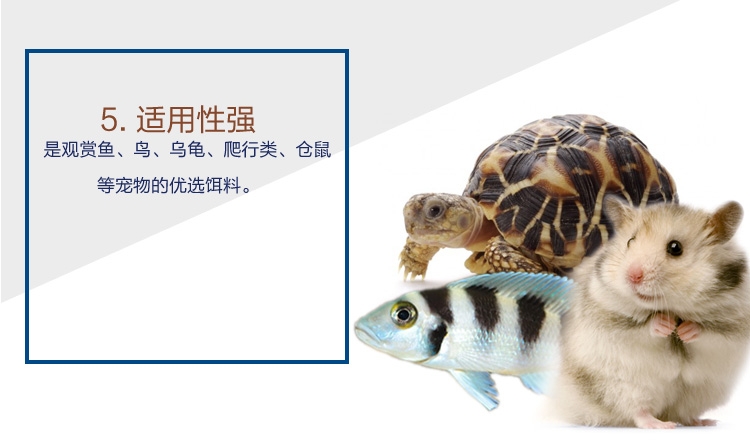 水亿方精致面包虫干黄粉虫仓鼠粮840ml仓鼠乌龟龙鱼饲料