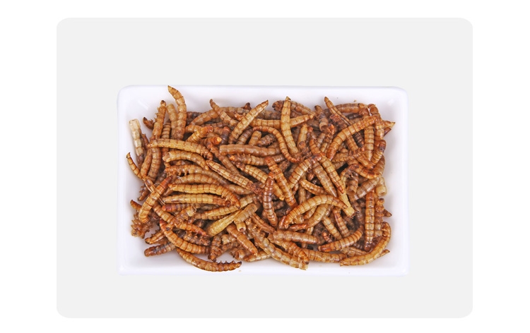 水亿方精致面包虫干黄粉虫仓鼠粮840ml仓鼠乌龟龙鱼饲料