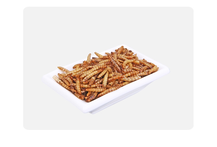 水亿方精致面包虫干黄粉虫仓鼠粮840ml仓鼠乌龟龙鱼饲料