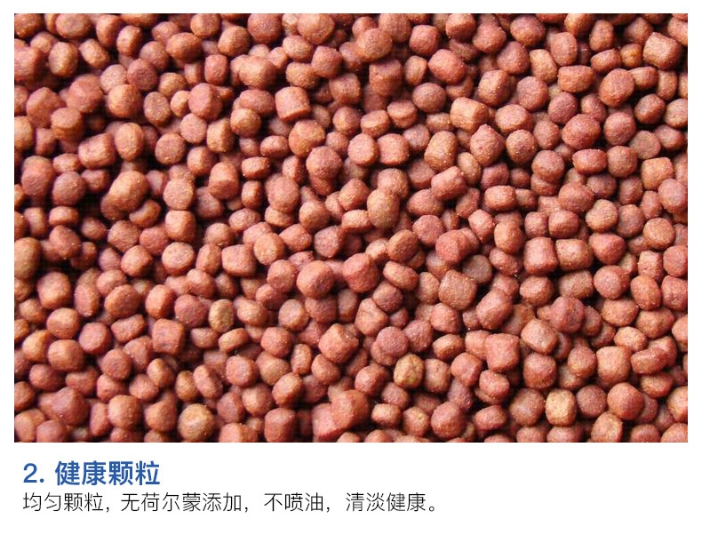 水亿方鹦鹉鱼增红饲料 增艳增红鱼饲料400g红罐