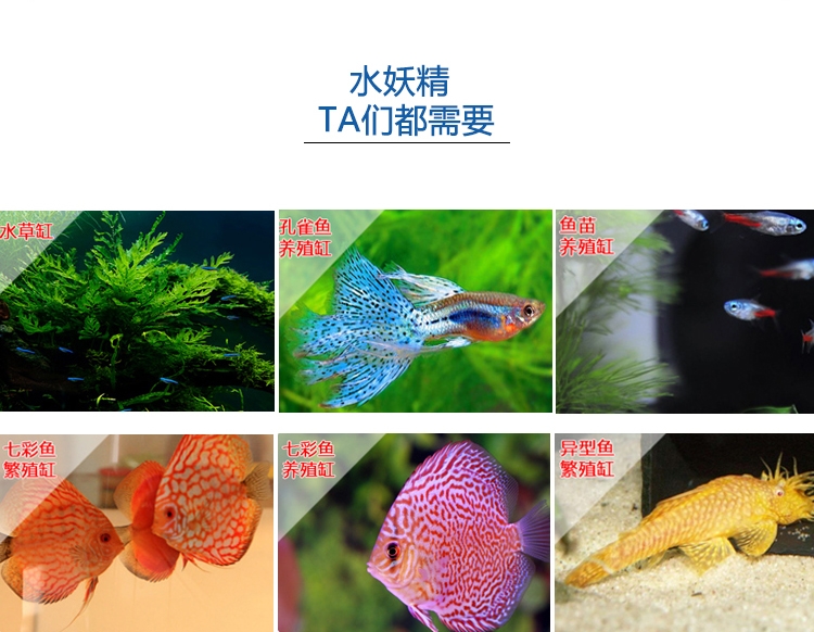 信友 鱼缸壁角过滤器/水妖精XY-2008 80cm以内鱼缸适用