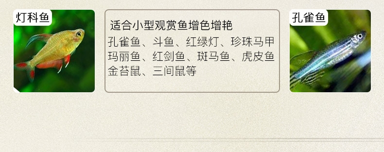 三友创美三元拓丽热带鱼粮 中小型热带鱼饲料 80克