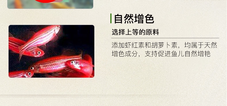 三友创美三元拓丽热带鱼粮 中小型热带鱼饲料 80克