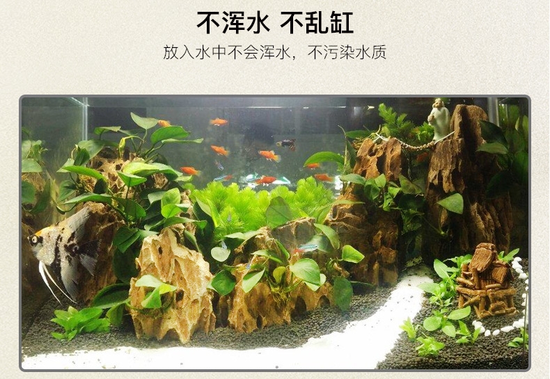 三友创美三元拓丽热带鱼粮 中小型热带鱼饲料 80克