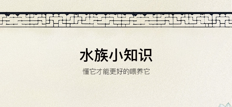 三友创美三元拓丽热带鱼粮 中小型热带鱼饲料 80克