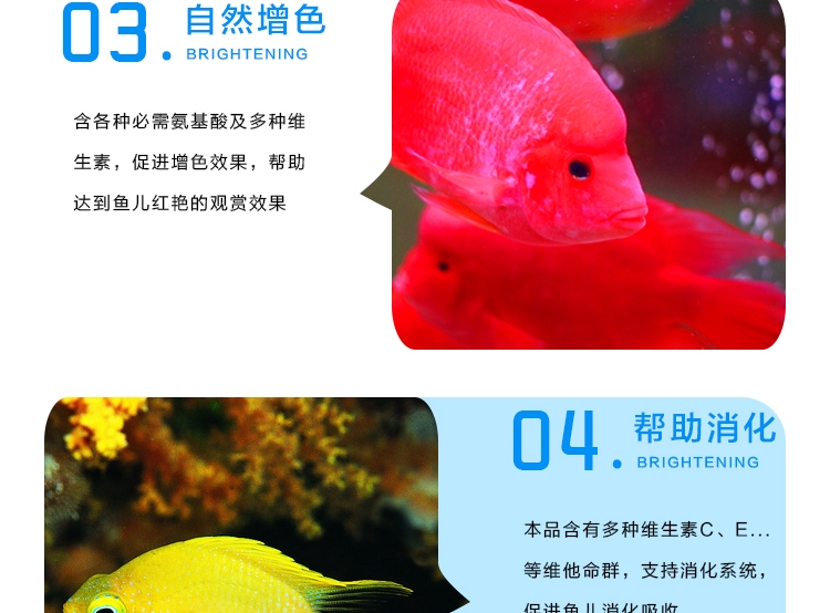 三友创美三元 锦鲤鱼饲料 增色鱼食300G 成幼鱼