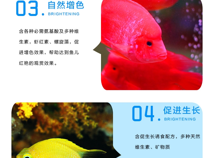 三友创美三元红 血鹦鹉增色饲料鱼粮1kg 各类热带观赏鱼适用