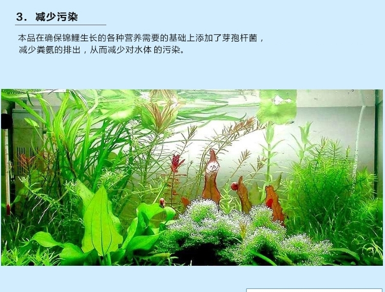 三友创美三元 增艳锦鲤鱼粮饲料 450g