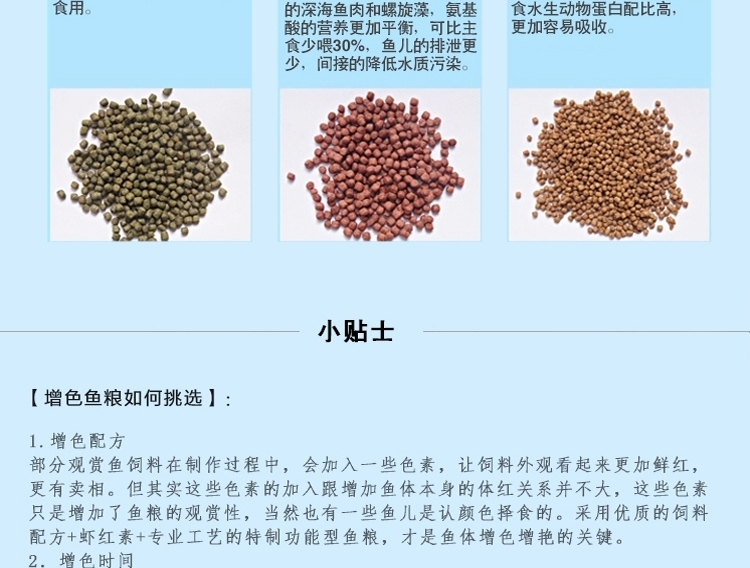 三友创美三元 增艳锦鲤鱼粮饲料 450g