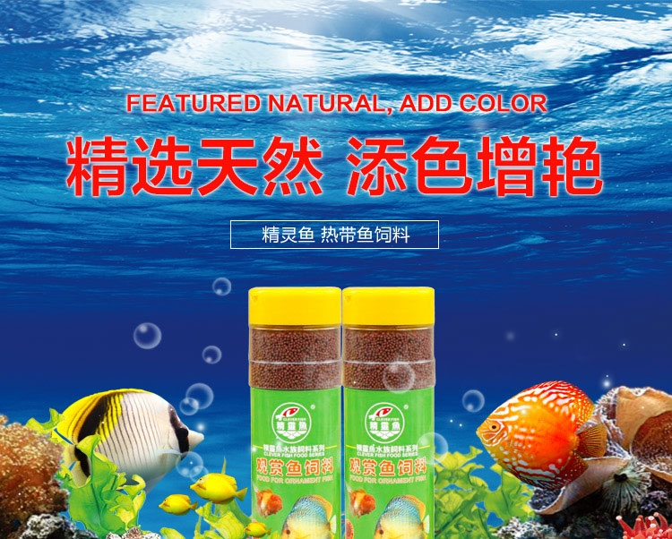 精灵鱼多种观赏鱼 热带鱼饲料小颗粒浮水性320G