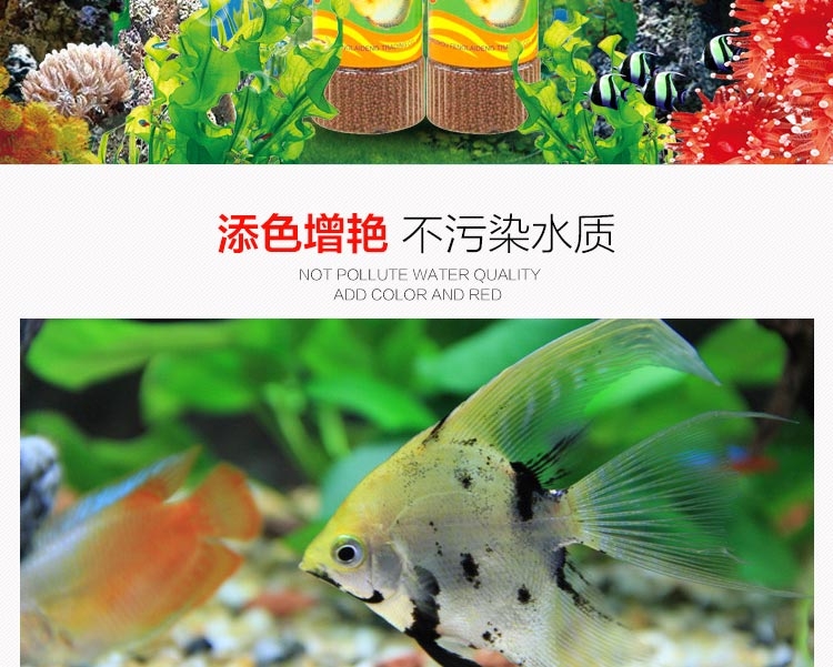 精灵鱼多种观赏鱼 热带鱼饲料小颗粒浮水性320G