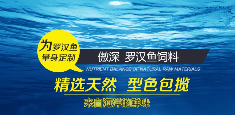 新加坡傲深XO红瑞神二代罗汉鱼饲料增色增头颗粒鱼粮花罗汉鱼食中大粒