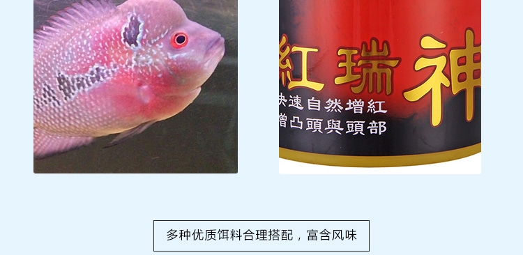 新加坡傲深XO红瑞神二代罗汉鱼饲料增色增头颗粒鱼粮花罗汉鱼食中大粒