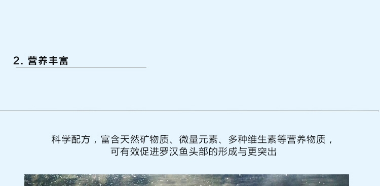新加坡傲深XO红瑞神二代罗汉鱼饲料增色增头颗粒鱼粮花罗汉鱼食中大粒