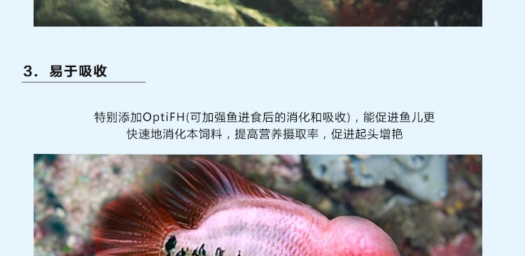 新加坡傲深XO红瑞神二代罗汉鱼饲料增色增头颗粒鱼粮花罗汉鱼食中大粒