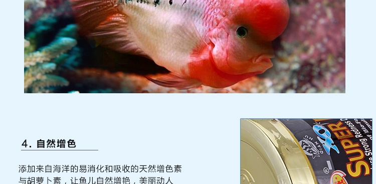 新加坡傲深XO红瑞神二代罗汉鱼饲料增色增头颗粒鱼粮花罗汉鱼食中大粒