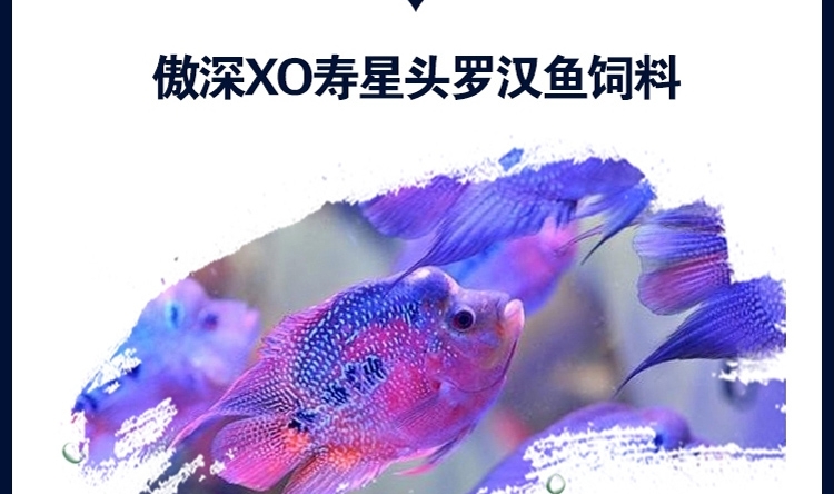 新加坡傲深XO寿星头二代罗汉鱼饲料起头增色小型鱼粮中大粒
