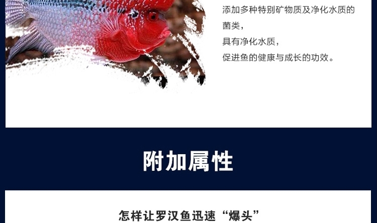 新加坡傲深XO寿星头二代罗汉鱼饲料起头增色小型鱼粮中大粒
