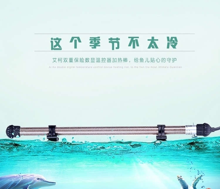 新加坡艾柯双重保险数显温控器加热棒