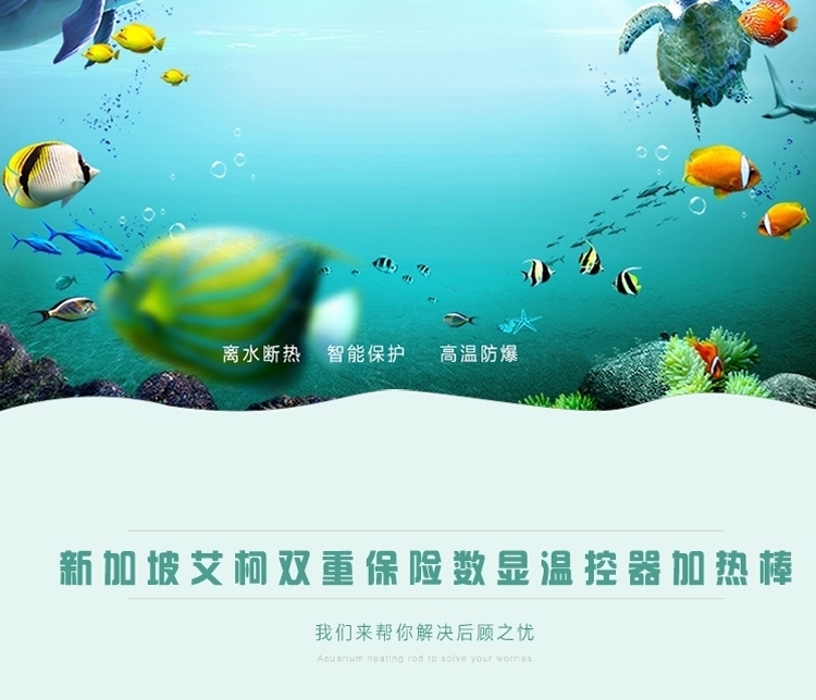 新加坡艾柯双重保险数显温控器加热棒