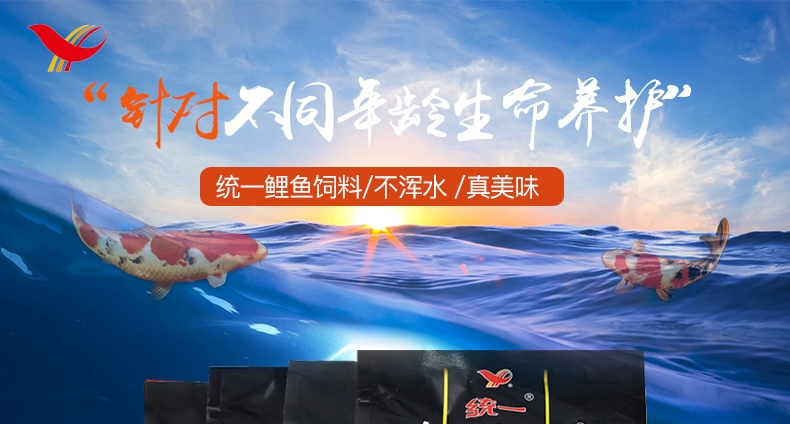 统一锦鲤鱼饲料鱼食鱼粮 色扬主食育成胚芽1kg