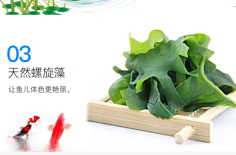 统一锦鲤鱼饲料鱼食鱼粮 色扬主食育成胚芽1kg