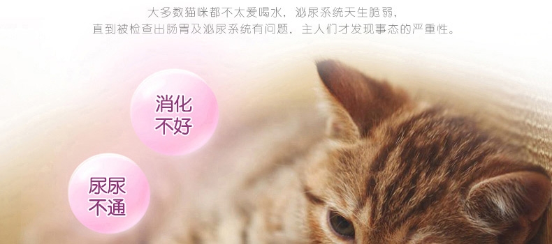 伟嘉 精选牛肉成猫妙鲜包 85g