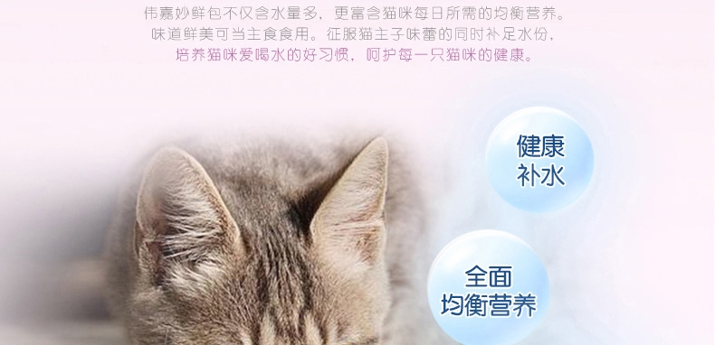 伟嘉 精选牛肉成猫妙鲜包 85g