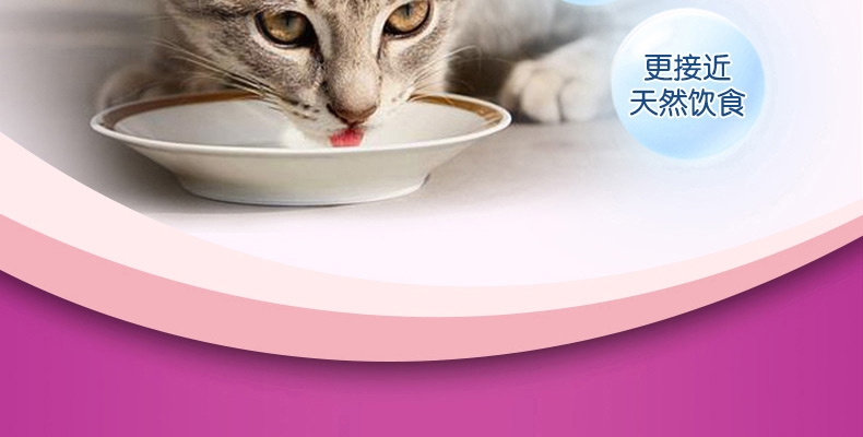 伟嘉 精选牛肉成猫妙鲜包 85g