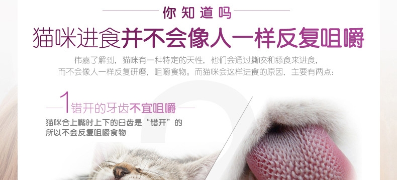 伟嘉 精选牛肉成猫妙鲜包 85g