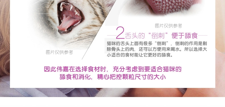 伟嘉 精选牛肉成猫妙鲜包 85g