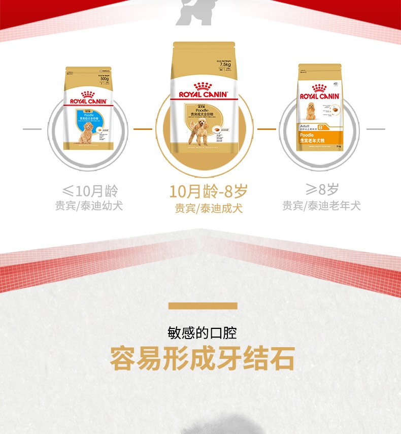 法国皇家ROYAL CANIN 泰迪贵宾成犬粮专业狗粮 7.5kg