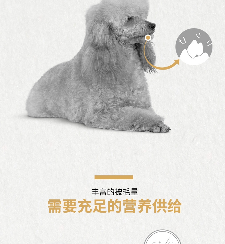 法国皇家ROYAL CANIN 泰迪贵宾成犬粮专业狗粮 7.5kg