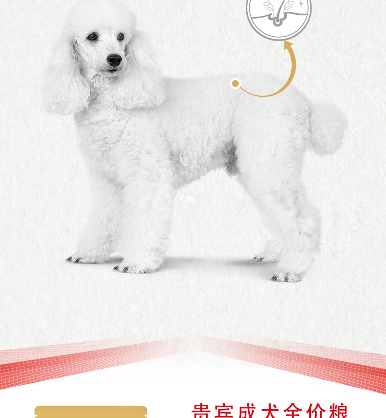 法国皇家ROYAL CANIN 泰迪贵宾成犬粮专业狗粮 7.5kg