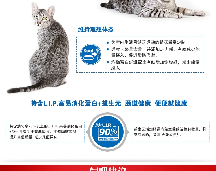 法国皇家ROYAL CANIN 室内成猫猫粮10kg i27