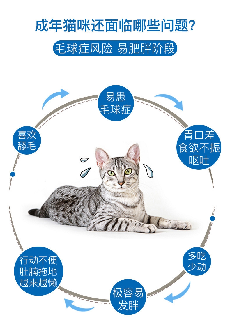 法国皇家 室内成猫粮 Indoor27/10KG