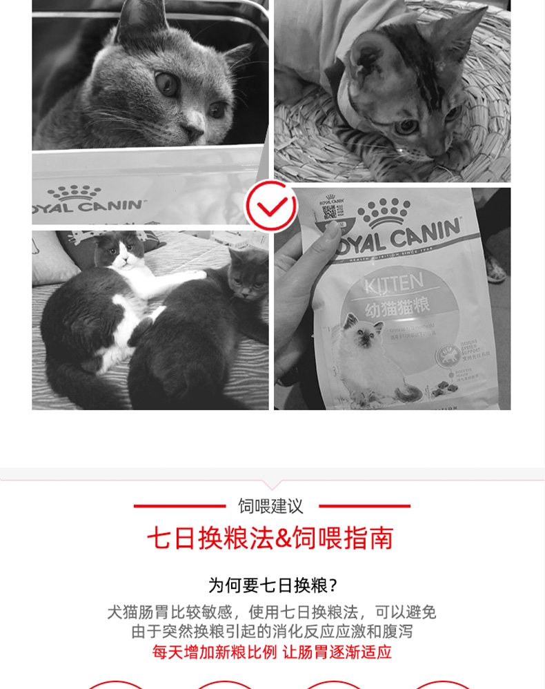 法国皇家 孕猫及12个月以下幼猫粮 K36 10kg