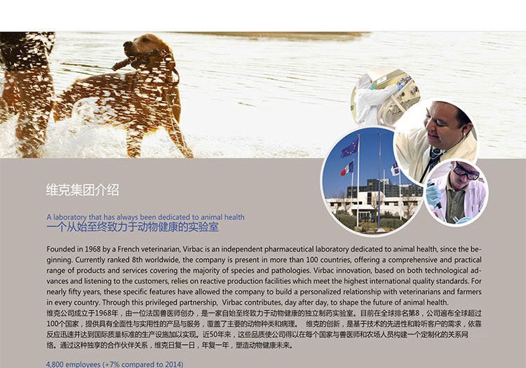 法国维克Virbac 爱乐滴滴剂2ml*6支装 小型犬猫用