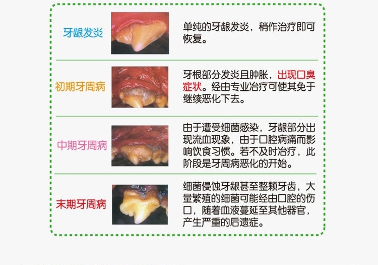 法国维克Virbac 益口清饮水洁牙液250ml 漱口水清新口气去口臭