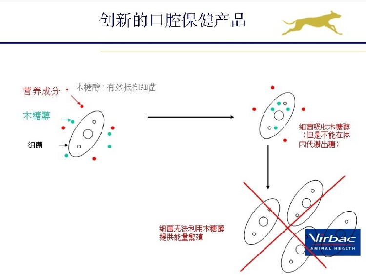 法国维克Virbac 益口清饮水洁牙液250ml 漱口水清新口气去口臭
