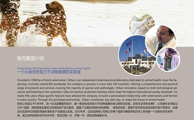 法国维克Virbac 益口清饮水洁牙液250ml 漱口水清新口气去口臭