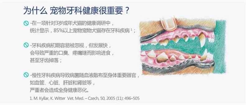 法国维克复合酶牙膏套装 猫狗牙刷牙膏 去牙结石口臭70g