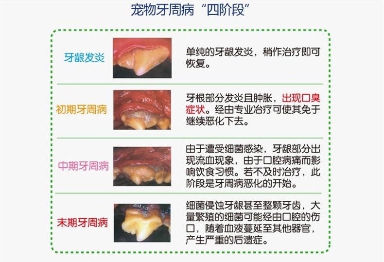 法国维克复合酶牙膏套装 猫狗牙刷牙膏 去牙结石口臭70g