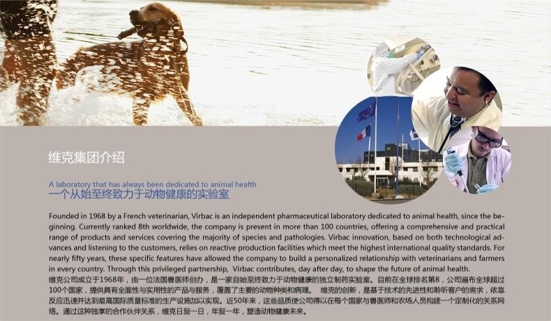 法国维克复合酶牙膏套装 猫狗牙刷牙膏 去牙结石口臭70g